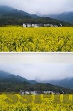 杏彩平台测速-杏彩平台测速，优化网络体验的关键步骤